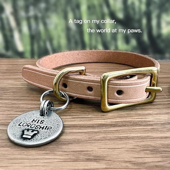 Artistic Handmade Hammered Collar Cat Dog ID Tags with Unique Handcrafted Design and Durable Stainless Steel, Personalized Deep Engraving with Your Own Text (Heart)