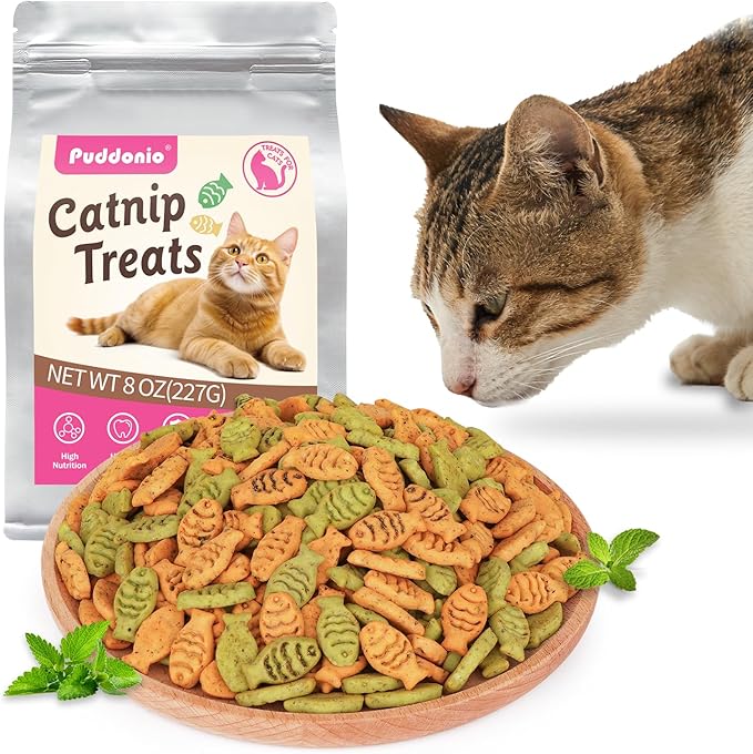 Catnip Cat Treats, Chicken & Salmon Flavor Crunchy Cat Biscuits, Fish-Shaped Training Snacks for Adult Cats, 8 oz