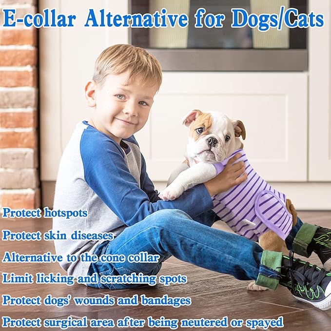 Dog Recovery Suit, Surgical Recovery Suit for Male Female Dogs Cats Spayed Onesie After Surgery, Dog Post Surgery Suit Anti Licking & Biting Surgical Shirt with Pee Hole，Purple X-Large
