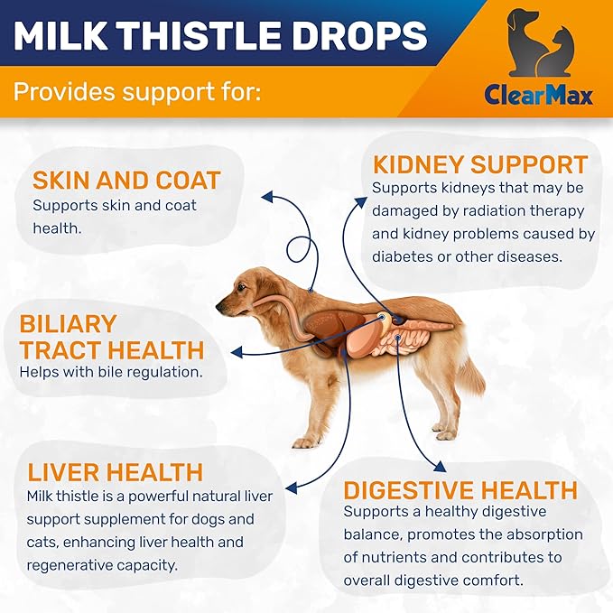 Milk Thistle for Dogs & Puppies – Liquid Supplement for Liver & Kidney Support – Milk Thistle for Cats & Kittens – Effective Digestion Care with Natural Beef Flavor & No Additives – 2 Oz Bottle