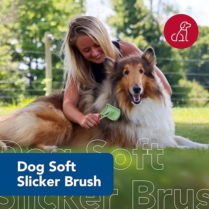 Coastal Pet Safari Dog Soft Slicker Brush - Dog Grooming Brush for Shedding - for Dogs with Short, Medium and Long Hair - Large - 6.75" x 4.375"