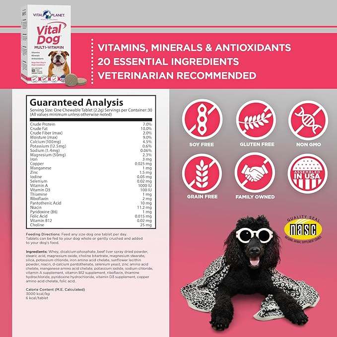 Vital Planet - Vital Dog Multi Vitamin Chewable Tablet Supplement for Everyday Health with Vitamins, Minerals and Antioxidants for Dogs - 30 Beef Flavored Chewable Tablets