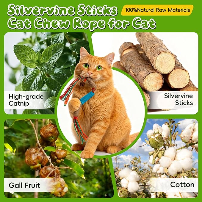 Silvervine Sticks for Cats & Cat Chew Rope Toy with Refillable Natural Catnip Bag for Teeth Cleaning, Interactive Cat Catnip Toys for Indoor Cats, Kitten Teething Toys for All Breeds (4Pcs)
