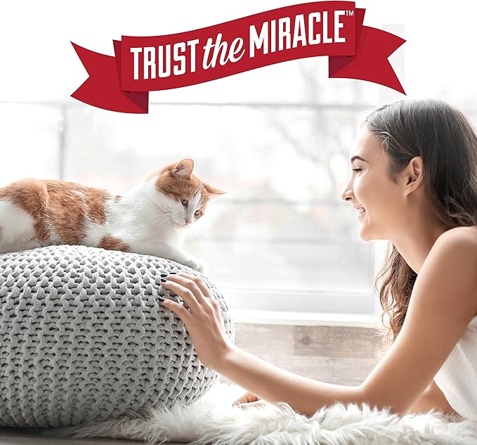 Nature's Miracle Just for Cats Oxy Stain and Odor Remover, 24 Fl Oz (Pack of 2)