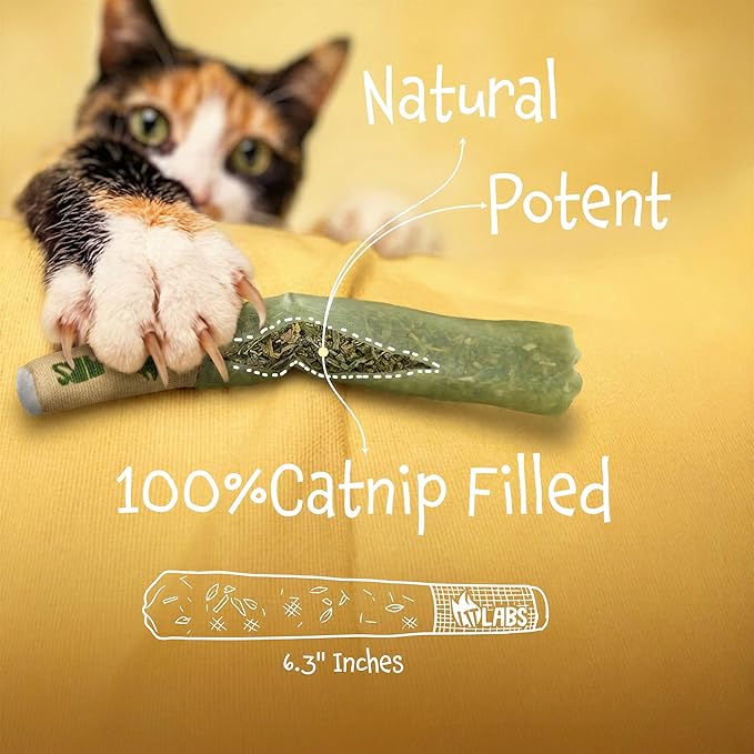 LIT LABS Cat Doobie 3 Pack Catnip Toys for Cats, Funny Cat Toys, Safe Kitten Teething Chew and Kicker Toys, Stress Relieving Indoor Cat Gifts that Hit Different