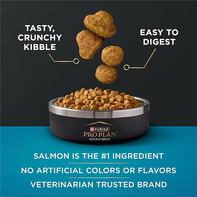 Purina Pro Plan AdvantEDGE Digestive Support Plus Adult Salmon and Rice Formula Dry Cat Food - 12 lb. Bag