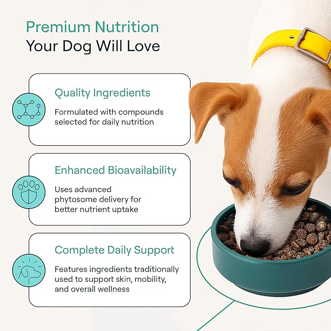 POP-Topper Dog Food Meal Toppers – Multivitamin Powder for Dogs Under 35 lbs - Delicious Bone Broth Base with 6 Human-Grade Superfoods - Supports Joints, Gut, Skin & Coat - 30 Packets