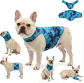 DAJIDALI® Dog & Cat Anxiety Vest & Spay Recovery Suit – Silent Calming Wrap for Surgery, Thunderstorms – Breathable Cone Alternative