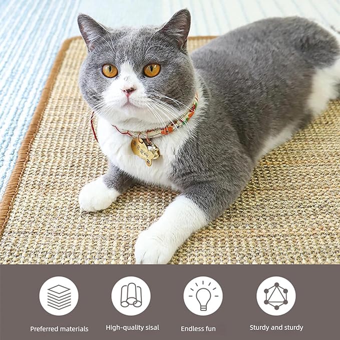 Interactive Catnip Chew Toy, Interactive Catnip Pillow with Soft Sisal Pad for Cats, Bite Resistant Kitten Teething Toys (Small,Mint Pillow + Pad)