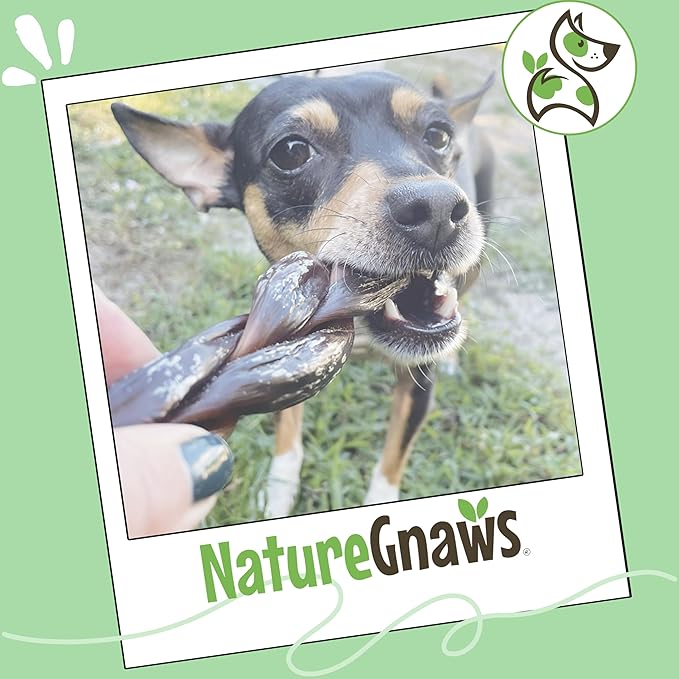 Nature Gnaws Braided Beef Chews for Dogs 5-6" (3 Count) - Long Lasting for Small and Medium Dogs - Natural Beef Gullet Jerky Dog Chew Treats