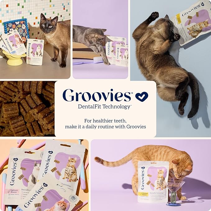 Groovies Cat Daily Dental Treats. Tasty, Crunchy Bites Cats Love. Powered by USA-Patented DentalFit Tech. No Gluten or Artificial Flavors or Colors. 1.76oz Each bag - (2 pack) of (1)Chicken & (1)Tuna