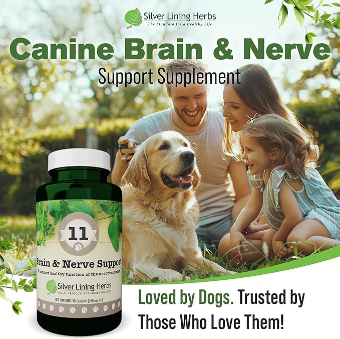 Silver Lining Herbs Brain Health & Dog Nerve Supplements - 11 Canine Herbal Supplement Helps Maintain Central Nervous System, Spinal Cord & Balanced Behavior - 90 Capsules