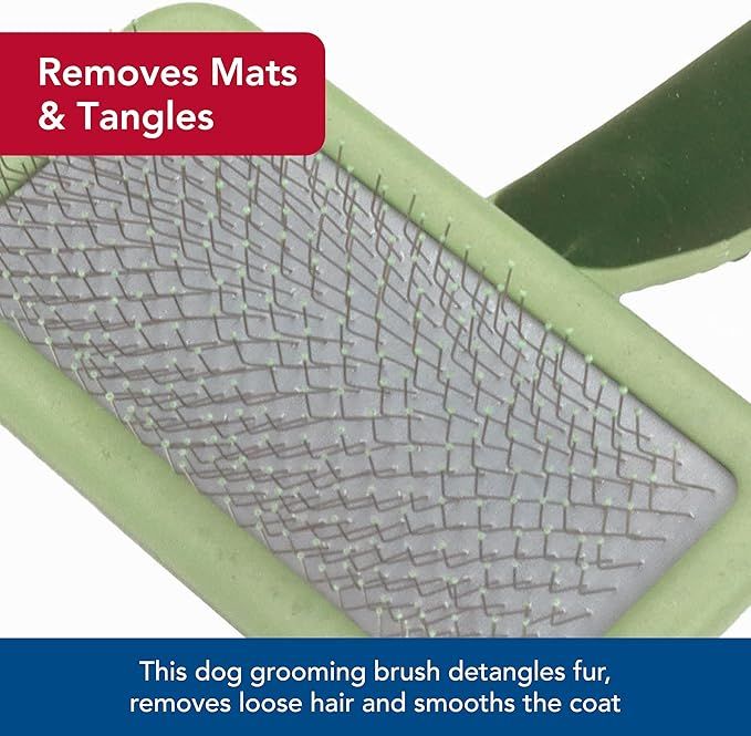 Coastal Pet Safari Dog Soft Slicker Brush - Dog Grooming Brush for Shedding - for Dogs with Short, Medium and Long Hair - Large - 6.75" x 4.375"