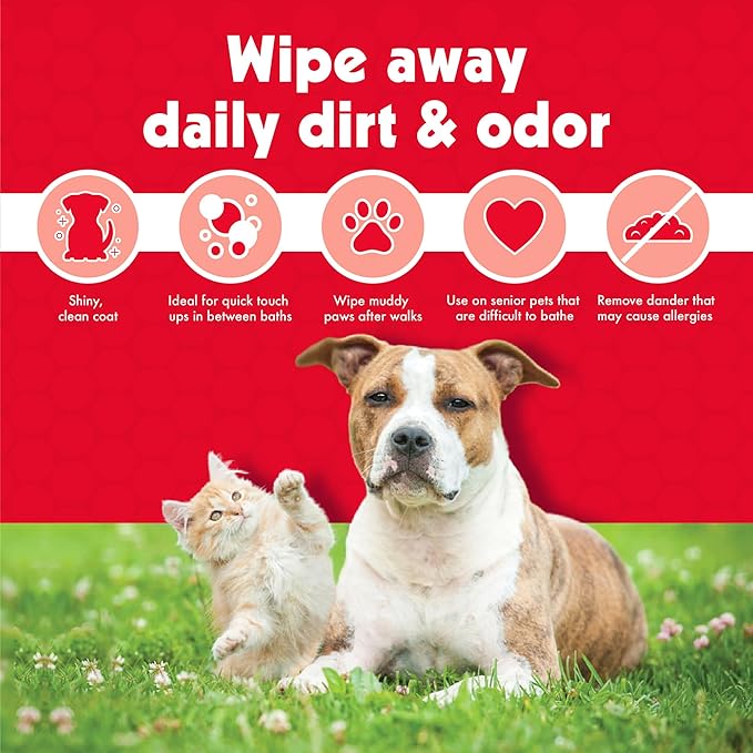 Petkin Pet Wipes for Dogs & Cats - 200 Large Wipes - Removes Dirt & Odor - Cleans Ears, Face, Butt, Eye Area - Convenient for Home or Travel - 2 Packs.