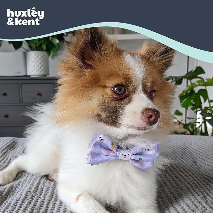 Huxley & Kent Pet Bow Tie for Dogs & Cats - Spring Easter Adjustable Hook & Loop Collar Accessory - Cute & Comfortable for Holidays & Celebrations - Funny Bunny, Large
