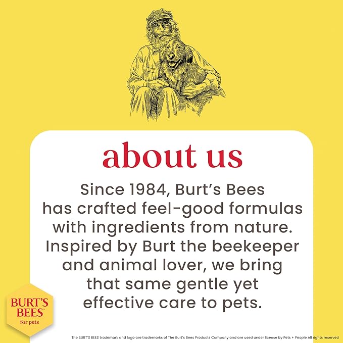 BURT'S BEES FOR PETS Hypoallergenic Cat Shampoo with Shea Butter and Honey, Gentle Kitten Shampoo for Indoor Cats with Dry or Sensitive Skin, Cat Bathing Supplies, 10 Fl Oz - 2 Pack