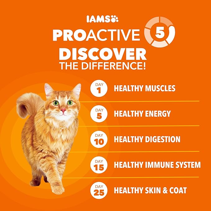 IAMS Proactive Health Adult Healthy Dry Cat Food with Chicken, 16 lb. Bag