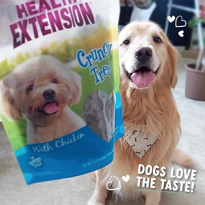 Health Extension Heart-Shaped Crunchy Biscuits, 12oz (340g) – Chicken Flavor, GMO-Free Dog Training Treats for Small Breeds, Added Vitamins & Minerals