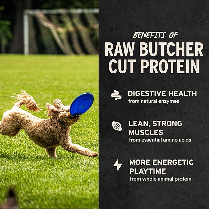Vital Essentials Freeze Dried Dog Treats | Salmon Bites, Single Protein | Premium Quality | Grain Free Training Treats for Dogs, 2.5 oz Bag