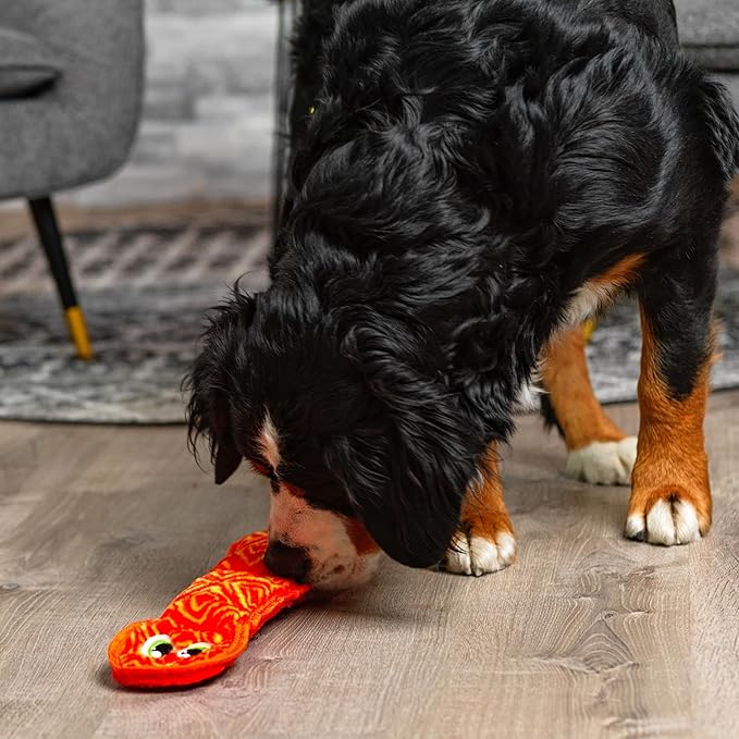 Outward Hound Durablez Stuffing-Free Squeaky Interactive Dog Toy, Tough Plush, Snake, Pink, Large