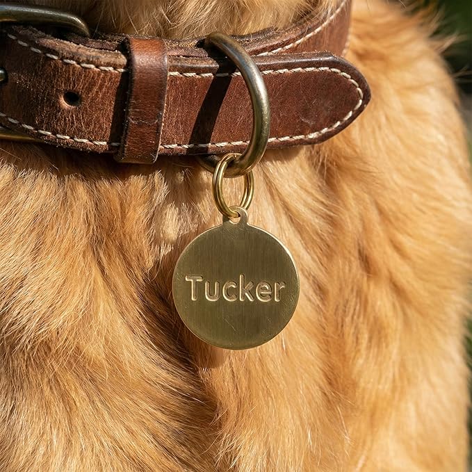 Solid Brass Personalized Dog Tags, Deep Engraved Pet ID Tag for Dogs and Cats, Heavy Duty Extra Thick Custom Name & Phone Number, Never Wear Off, Gift for Pets, 2 Polishing Pads Included (Long)