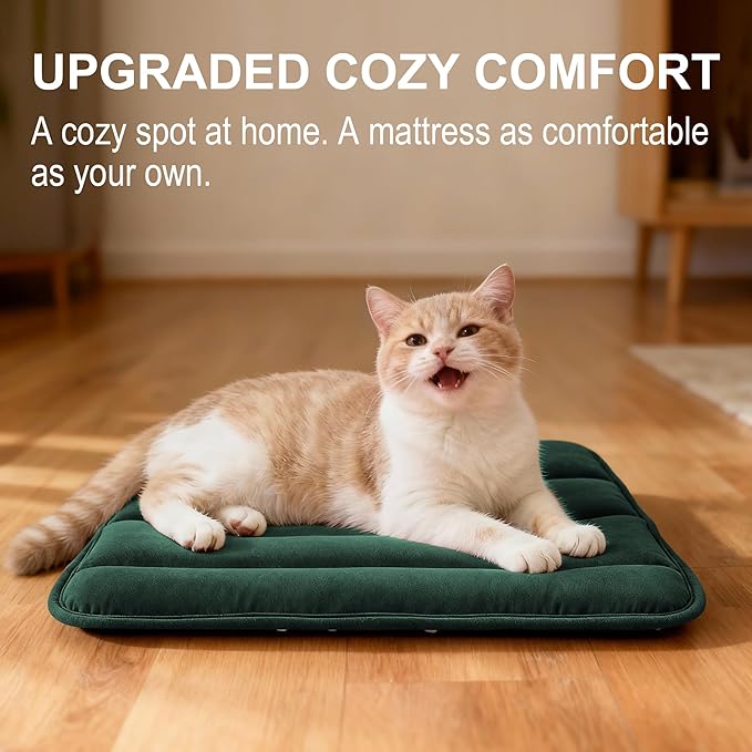 Dog Crate Pad, Ultra Soft & Anti-Slip Kennel Mat, Secure Fit for Metal Crates & Dog Cages, Washable Cozy Bed for Small Medium Large Dogs (Green, XS(18"*12"*1.5"))