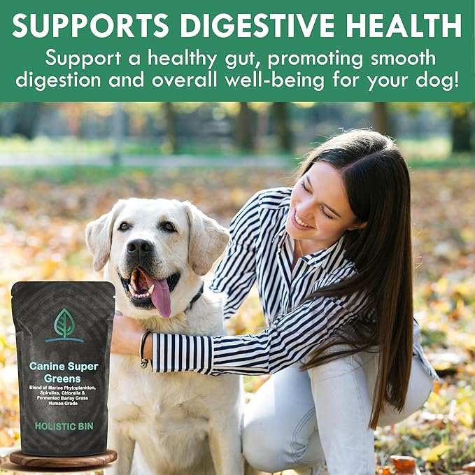 Holistic Bin Canine Super Greens Plant-Based Dog Food Toppers | Nutrient-Rich Supplement Powder | Gut Balance, Joint Strength, Digestion, Fresh Breath & Overall Canine Wellness | Greens Powder (50g)