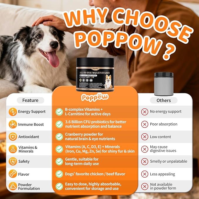 Dog Vitamins and Supplements for Daily Energy, Immune, Antioxidant, Gut, Skin & Coat, Dog Multivitamin Powder for Homemade Food with L-Carnitine, Taurine, Probiotics - Chicken Flavor, 75 Scoops