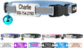 GoTags Personalized Reflective Cat Collars with Tag, Engraved Custom with Name and Phone, Breakaway Collar with Safety Buckle and Bell, Adjustable for Cats and Kitten, (Light Blue with Nameplate)