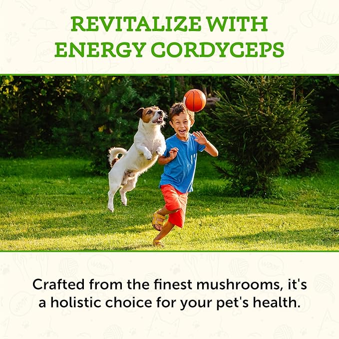 Animal Essentials ENERGY Cordyceps Mushroom Supplement for Dogs & Cats - Support Stamina & Endurance, Healthy Respiratory & Kidney Functions, Antioxidant, Mushroom Powder Extract - 2.8 Oz (Pack of 1)