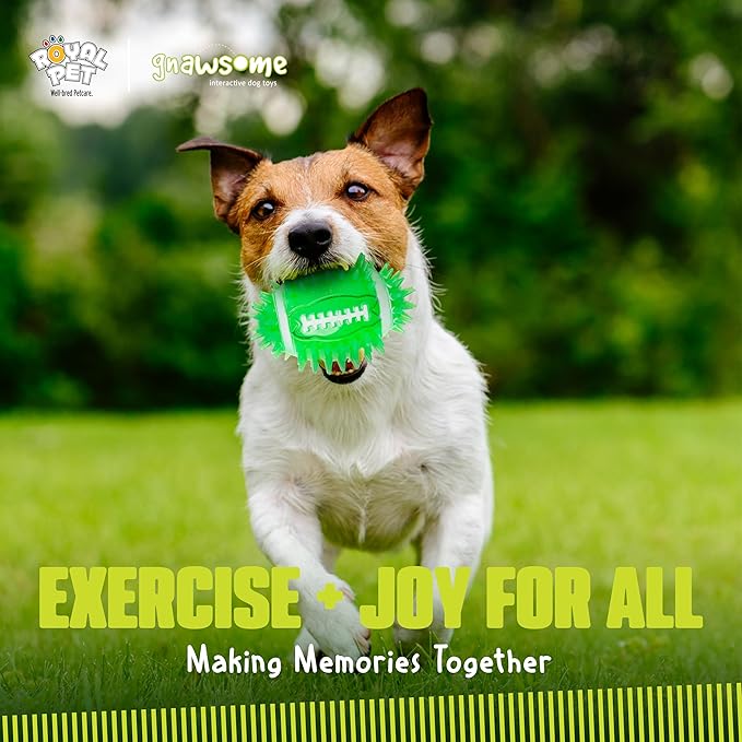 Gnawsome 4.5" Spiky Squeak & Light Football for Dogs - Durable, Rubber Bouncy Puppy Fetch & Chew Toy for Your Pet, Colors Will Vary for All Breed Sizes (Pack of 2)