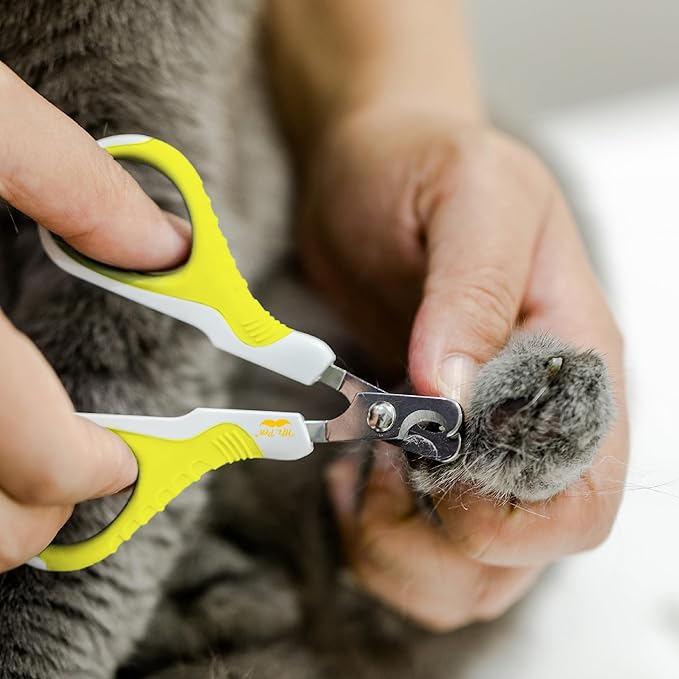 Mr. Pen- Cat Nail Clipper, Lime Green, Cat Nail Trimmer, Cat Nail Clippers, Cat Claw Clippers, Cat Clippers for Nails, Pet Nail Clippers, Kitten Nail Clipper, Small Dog Nail Clipper Cat Claw Trimmer