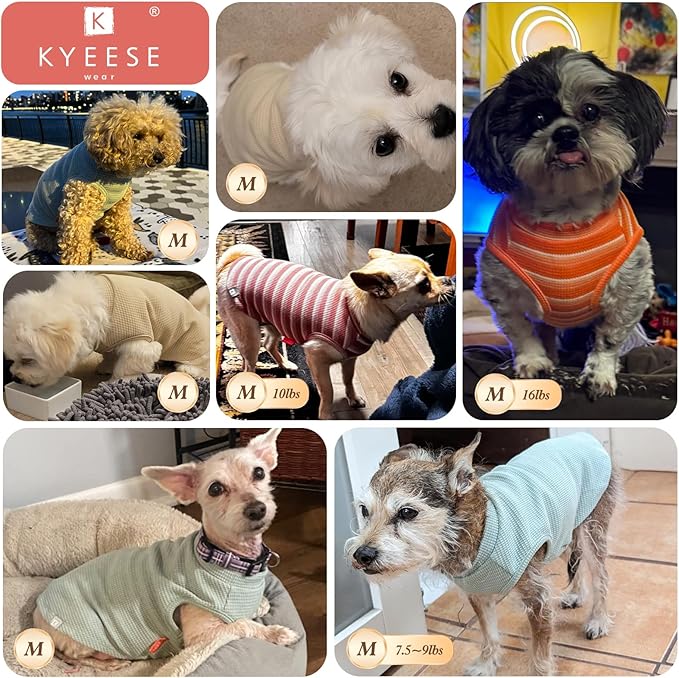KYEESE 2Pack Waffle Dog Shirts for Small Dogs Stretchy T-Shirts Lightweight Tank Top Sleeveless Striped Vest Breathable Cat Tee, Medium, Red+Striped