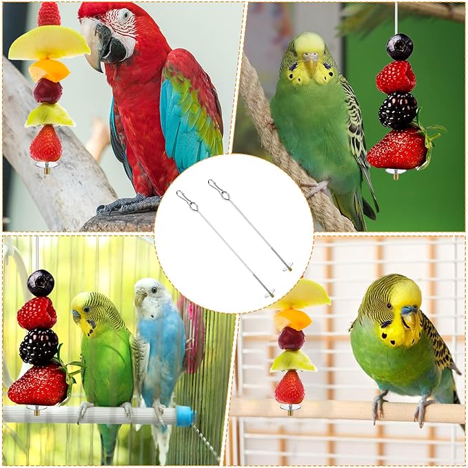 Nogeqi 2PCS Bird Cage Food Holder with Hook, Stainless Steel Bird Feeder for Cage, Parrot Fruit Skewers, Bird Foraging Toys for Macaw Parakeet Parrot Budgie (2 Sizes)