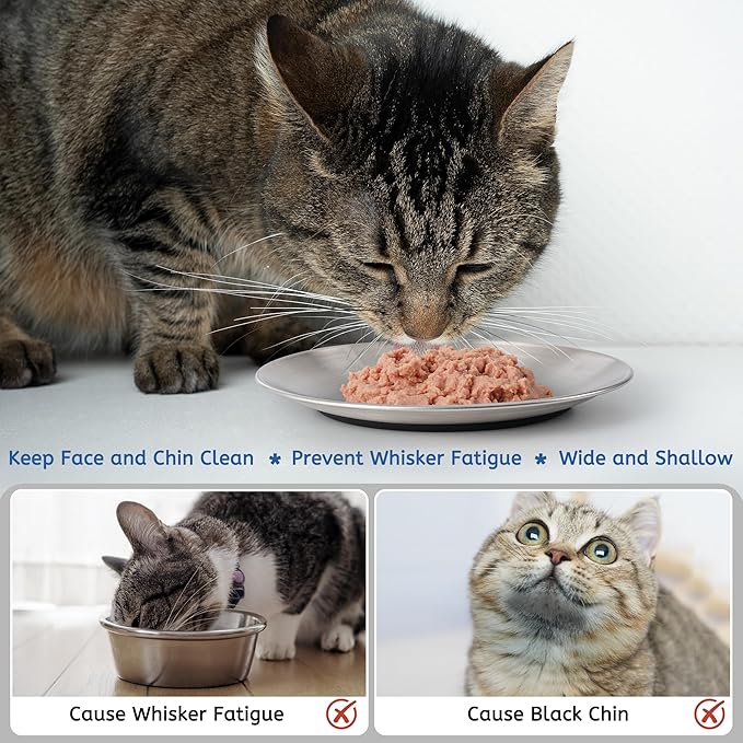 Stainless Steel Cat Bowls, 6.7" Wide and Shallow Cat Food Bowl Set with Silicone Ring for Non Slip, Flat Cats Dishes or Plates for Feeding Indoor Cats, Kitten, Small Dogs (Silver-4 Pack)