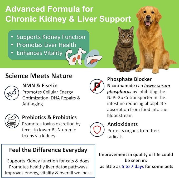𝗘𝘃𝗲𝗻𝘁𝘂𝗮𝗹𝗹𝘆 𝗬𝗼𝘂𝗻𝗴 12-in-1 CKD Kidney Support Restore 4 Cats & Dogs: Super Phosphate Binder w/NMN, Fisetin, Antioxidants, Pre & Probiotic 4 Healthy Kidney & Liver Functions (60 Caps)