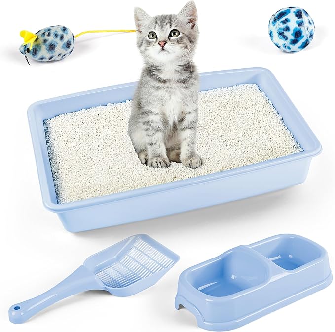 PAWISE Kitty Litter Box Set 5-Pieces - Shallow Cat Litter Pan, Cat Litter Scooper, Feeding Bowls, Kitten Starter Kit Mouse Toy, 14.5x10.5 Inches, Blue