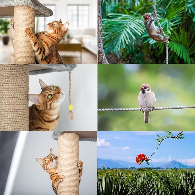 Premium Brazilian Sisal Rope, Natural Fiber 100% Sisal, Ultra Durable, Chemical-Free, Ideal for DIY, Cats, Scratching Post Replacement, Home Decor, Garden, Crafting (3/8” 50 ft / 9.5mm 15m)
