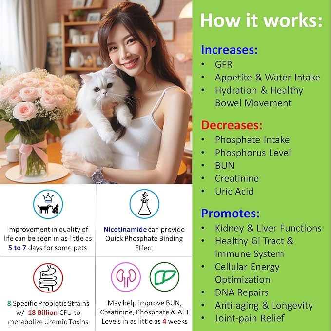 𝗘𝘃𝗲𝗻𝘁𝘂𝗮𝗹𝗹𝘆 𝗬𝗼𝘂𝗻𝗴 12-in-1 CKD Kidney & Liver Support Restore for Cats & Dogs: Advanced Phosphate Binder w/NMN, Fisetin, Antioxidants, Prebiotic & Probiotic (30 Caps)