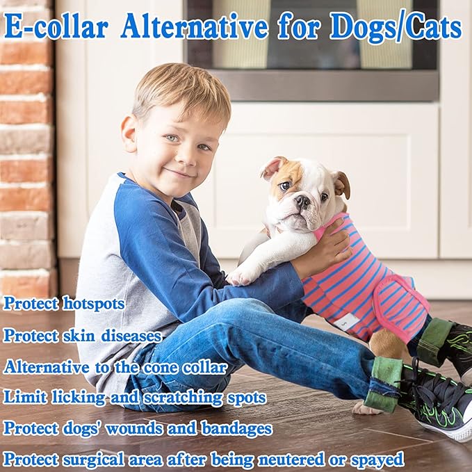 Dog Surgery Recovery Suit, Recovery Shirt for Male Female Dog Cats, Cone E-Collar Alternative Abdominal Wounds Spay Bandages Onesie, Anti-Licking Pet Surgical Recovery Suit,Pink Small