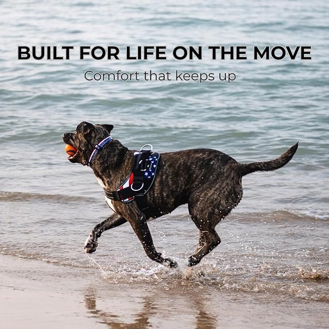 ShawnCo Essential Dog Harness, No-Pull Pet Vest with 3 Leash Clips, No Choke, Reflective, Adjustable and Padded, for Easy Walking and Training for Small, Medium and Large Dogs (Dark Camo, S)