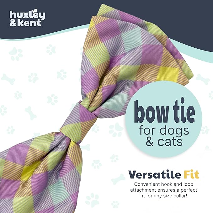 Huxley & Kent Pet Bow Tie for Dogs & Cats - Spring Theme Adjustable Hook & Loop Collar Accessory - Cute & Comfortable for Holidays & Celebrations - Lavender Lemon, Large