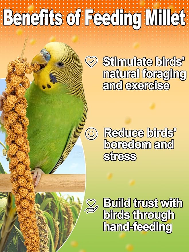 MEWTOGO Spray Millet & Cuttlebone Bird Treats Set - 1lb Hand Selected Golden Millet Treats for Parakeets Cockatiel Lovebirds Canaries Finches, Energy & Calcium Boost