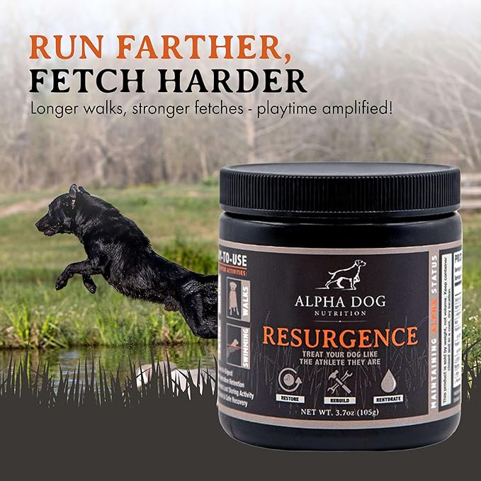 Alpha Dog Nutrition Electrolytes for Dogs - PhD Formulated Hydration Supplement with Beef Flavor for Active Canines - Versatile Powder for Dehydration Recovery and Stamina