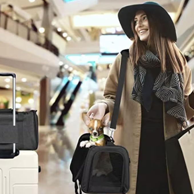 Movelo, Pet Carrier with Two Entrances – Top & Side Opening Soft-Sided Travel Carrier for Cats & Small Dogs up to 25 lbs – Airline Approved, Mesh Ventilation, Removable Pad & Shoulder Strap