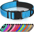 Joytale Reflective Dog Collar, Soft Neoprene Padded, Metal D-Ring, Nylon Pet Collar Adjustable for Large Dogs, Sky Blue, L