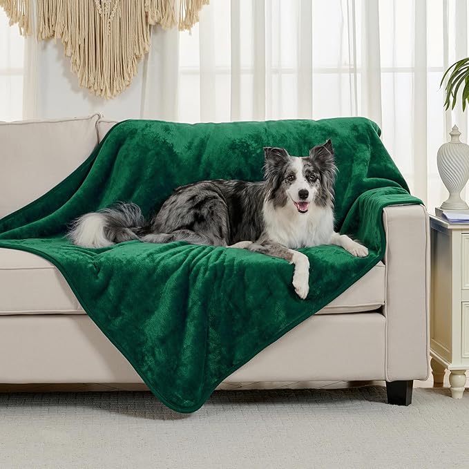 Waterproof Blanket for Bed Couch Sofa, Soft Liquid Pee Proof Pet Blanket for Dog Puppy Cat, Reversible Sherpa Fleece Furniture Protector (Green, 60x80 inches)
