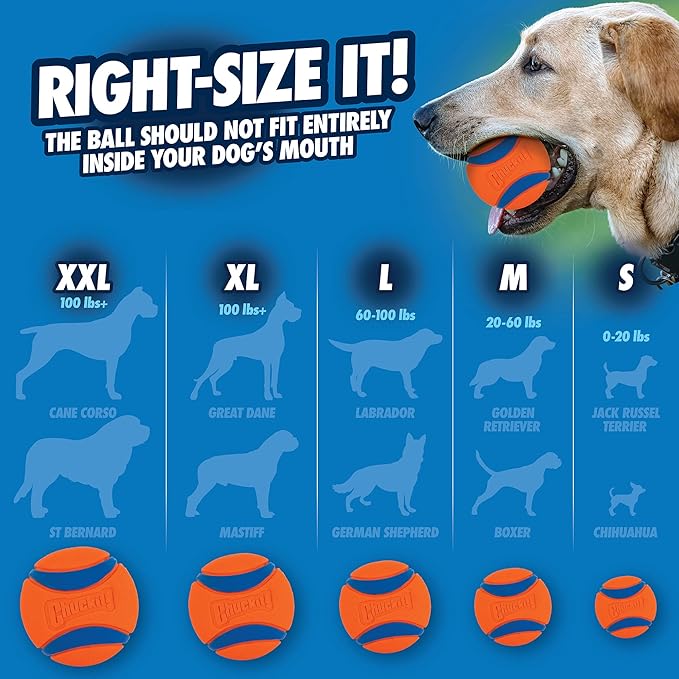 Chuckit! Ultra Ball Dog Toy - for Dogs 100+ lbs - Made from Durable Rubber - Super Bouncy - Floats in Water - 3.5-inch Diameter - Size XL (Pack of 2)