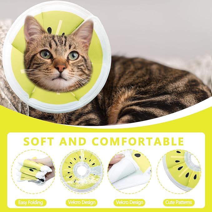Soft Adjustable Cat Cone Collar, Comfortable Cat Recovery Collar Suitable for Various Types of Cats,Elizabethan Neck Protective Collar for Cats After Surgery (Gold Kiwi, Medium)