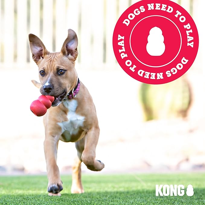 KONG Stuff-A-Ball - Durable Chew Toy for Dogs - Natural Rubber Dog Toy for Dental Health - Pet Toy for Chewing & Teeth Cleaning - Stuffable Toy for Dog Treats & Snacks - for Medium Dogs
